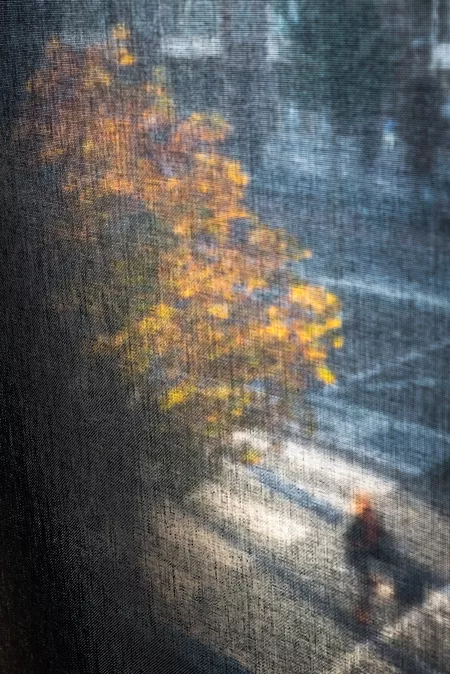 Pedro Correa, When The Last Tree, from the series “Urban Impressions,” 2015–20. Courtesy of the artist.