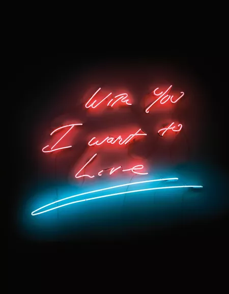 Tracey Emin - With You I Want To Live, 2007 - Phillips